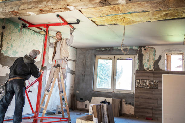 Best Insulation Maintenance and Repair in Cedar Creek, TX